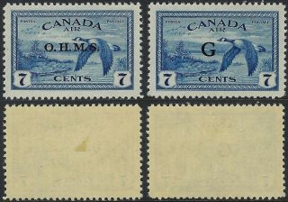 Scott Co1 & Co2: 7c Canada Goose Official Airmails,  Ohms And G Overprints,  Vf - H
