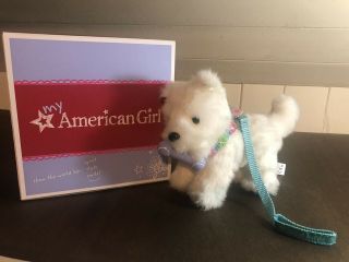 American Girl Coconut The Puppy