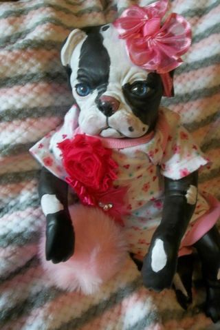 Reborn Princess Puppy Artist Doll Dog Hand Painted Baby Pup Hybrid