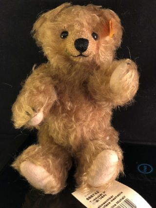 Vintage Steiff Tan Mohair Jointed Teddy Bear W Button And Tags