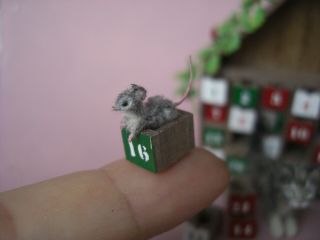 OOAK Dollhouse 1:12 Miniature Kitten,  Mouse,  Advent Calendar Handmade OREON cat 3