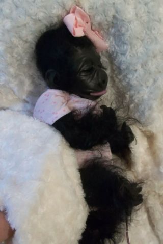 Reborn Mountain Gorilla Monkey Baby Artist Doll Ape Hybrid Ooak Kiki