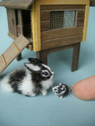 Ooak Dollhouse 1:12 Miniature Rabbit,  Bunny,  House Handmade Oreon Pet Cat Dog