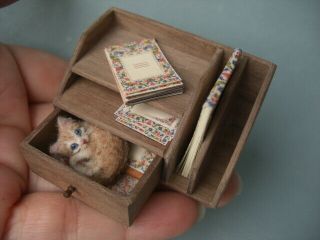 Ooak Dollhouse 1:12 Miniature Tiny Kitten In The Drawer Handmade Oreon Pet Dog