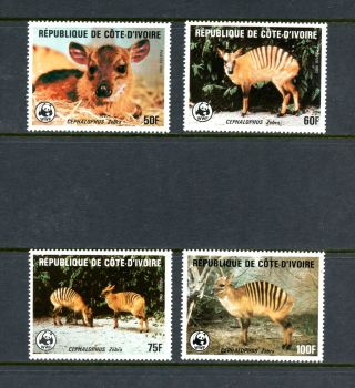 Ivory Coast 1985 764 - 7 Fauna Striped Antelopes Wwf 4v.  Mnh H320