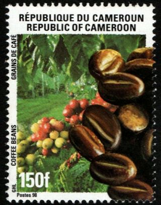 Cameroon Cameroun Kamerun 1998: Coffee Beans 150 F,  Mnh