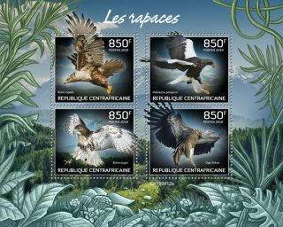 Central Africa 2019 Fauna Birds Of Prey S201909