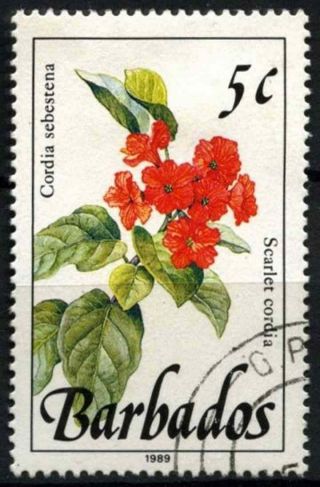 Barbados 1989 - 92 Sg 891 5c Wild Plants Definitive 1989 Imprint Date D43131
