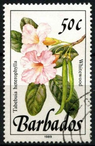 Barbados 1989 - 92 Sg 897 50c Wild Plants Definitive 1989 Imprint Date D43135