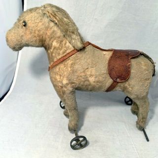 Antique Pre 1904 Steiff Mohair Donkey Pull Toy Cast Wheels Growler As Found 2