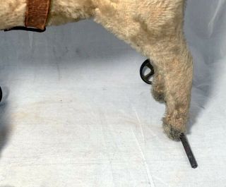 Antique Pre 1904 Steiff Mohair Donkey Pull Toy Cast Wheels Growler As Found 3