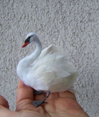 Ooak Dollhouse Miniature 1/12 Scale White Swan Bird By Malga