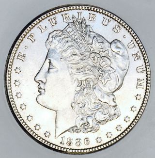 1886 P Morgan Dollar Gem Bu,  Quality Blast White Morgan Nr 14648