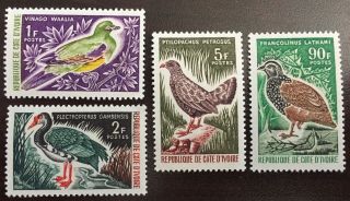 1966 Ivory Coast Mnh Birds Partial Set Scott 231 - 34