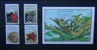 Barbuda 1985 Marine Life Set & Miniature Sheet