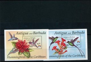 Barbuda 1993 Birds Flowers S/s (2) Scott 1361 - 2 Lh