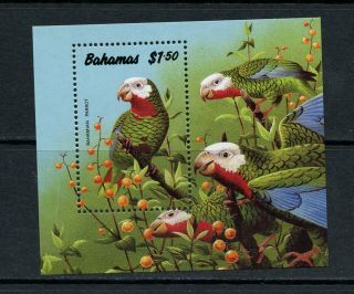 S297 Bahamas 1990 Birds Parrots Sheet Mnh