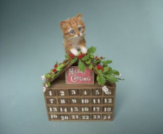 Ooak Dollhouse 1:12 Miniature Ginger Kitten,  Advent Calendar Christmas Oreon Cat