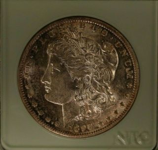 1890 O Morgan Dollar Choice Uncirculated " Gold Toning Bidding Starts At $9.  00 "