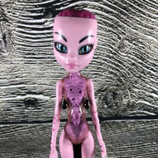 Monster High Inner Monster Fearfully Feisty To Fangtastic Doll Create A Monster