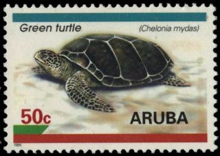 Aruba 127 - Green Sea Turtle " Chelonia Mydas " (pb18817)