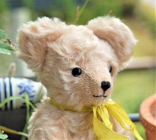 Sweet Little Mohair Teddy From The English Teddy Bear Company - 10 Inch