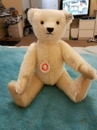 - Steiff White Bear - 12 1/2 Inches - With Chest Tag,  And Ear Tag