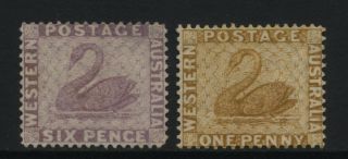 Australian States Western Australia 2 Early Swan Stamps No Gum
