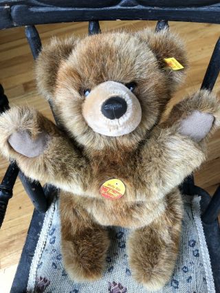 Steiff Stuffed Brown Molly Teddy Bear 0330/32 With Button