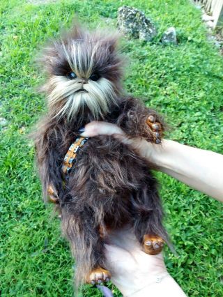 Ooak Fantasy Creature Baby Chewie - Star Wars Inspired Chewbacca Posable
