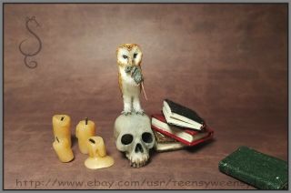 OOAK Dollhouse Miniature Barn Owl with Mouse Flocked Animal 1:12 IGMA 3
