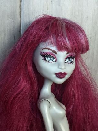 MONSTER HIGH Doll CAM Create A Monster Nude Werewolf Girl With Ears 2