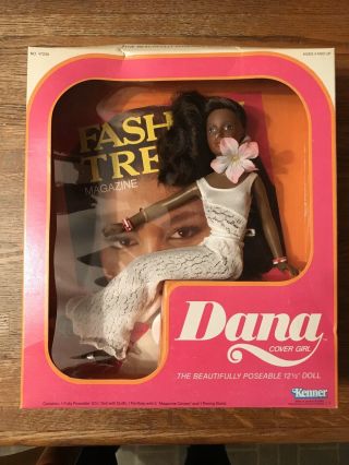 Rare Vintage 1980 Kenner Dana Cover Girl Doll - African American - Nrfb