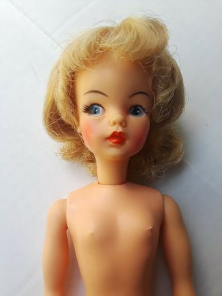 Vintage Ideal Toy Corp.  12 " Tammy Doll Bs - 12 3 Golden Blond Hair