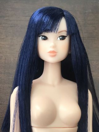 Momoko Sekiguchi Blue Hair Nude Doll