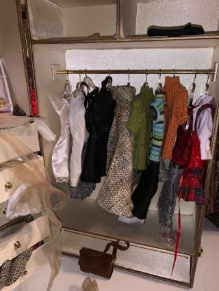 Tyler Wentworth Single Doll Closet Fully Loaded With Clothes And Accessories 3