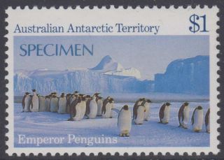 Australia Australian Antartic Territory Sc L74 Top Value " Specimen " Mnh Vf