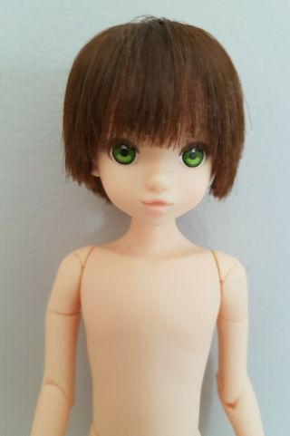 Petworks Fresh Ruruko Boy Doll.