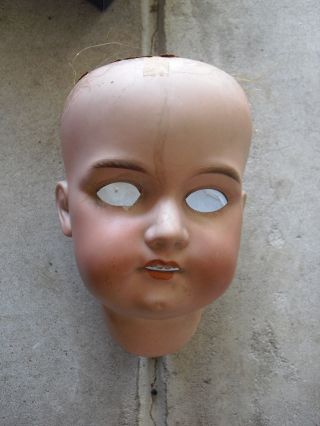 Big Vintage Armand Marseille A14m Bisque Girl Doll Head 7 " Tall