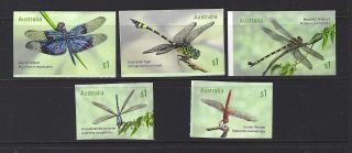 Australia 2017 Dragonflies - Self Adhesive Booklet Set Of 5 Unmounted,  Mnh