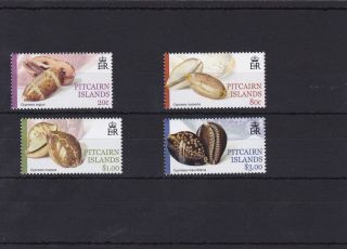 Pn12) Pitcairn Islands 2001 Cowrie Shells Part 1 Set Of 4 Muh.  Price: $11
