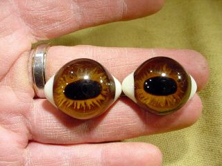 A Pair Vintage Solid Doll Glass Eyes Ø 31 Mm Bisque Doll Teady Bear Age1930 1807