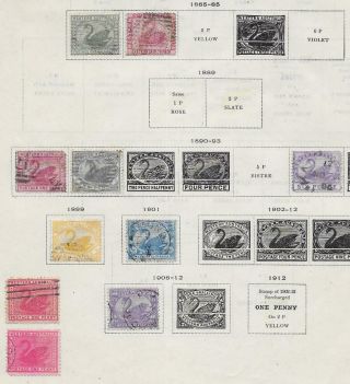 10 Western Australia Stamps From Quality Old Album 1865 - 1912