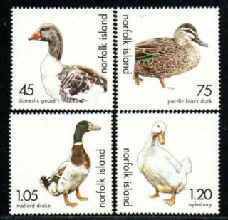 Norfolk Island Stamp - Ducks,  Geese Stamp - Nh