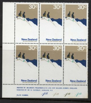 Zealand Stamps 1970 Pictorals 30c In Block Of 6 Plate Block Sg 931 Mnh