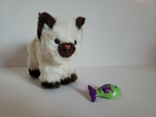 American Girl Himalayan Siamese Cat With Poseable Joints And Magnetic Fish