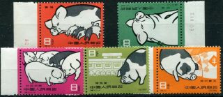 1960 - China - Pig Breeding Set Of 5,  Umm