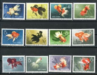 Prc S - 38 Goldfish Complete Set Never Hinged 2