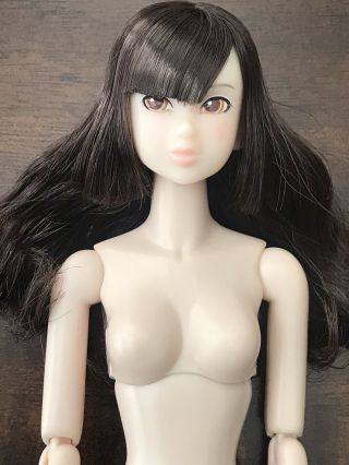 Momoko Sekiguchi A Tearly Drop Nude Petworks Doll