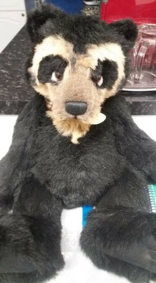 Charlie Bear Retired " Shades " - 21 Inches - Pre - Owned - Black & Tan